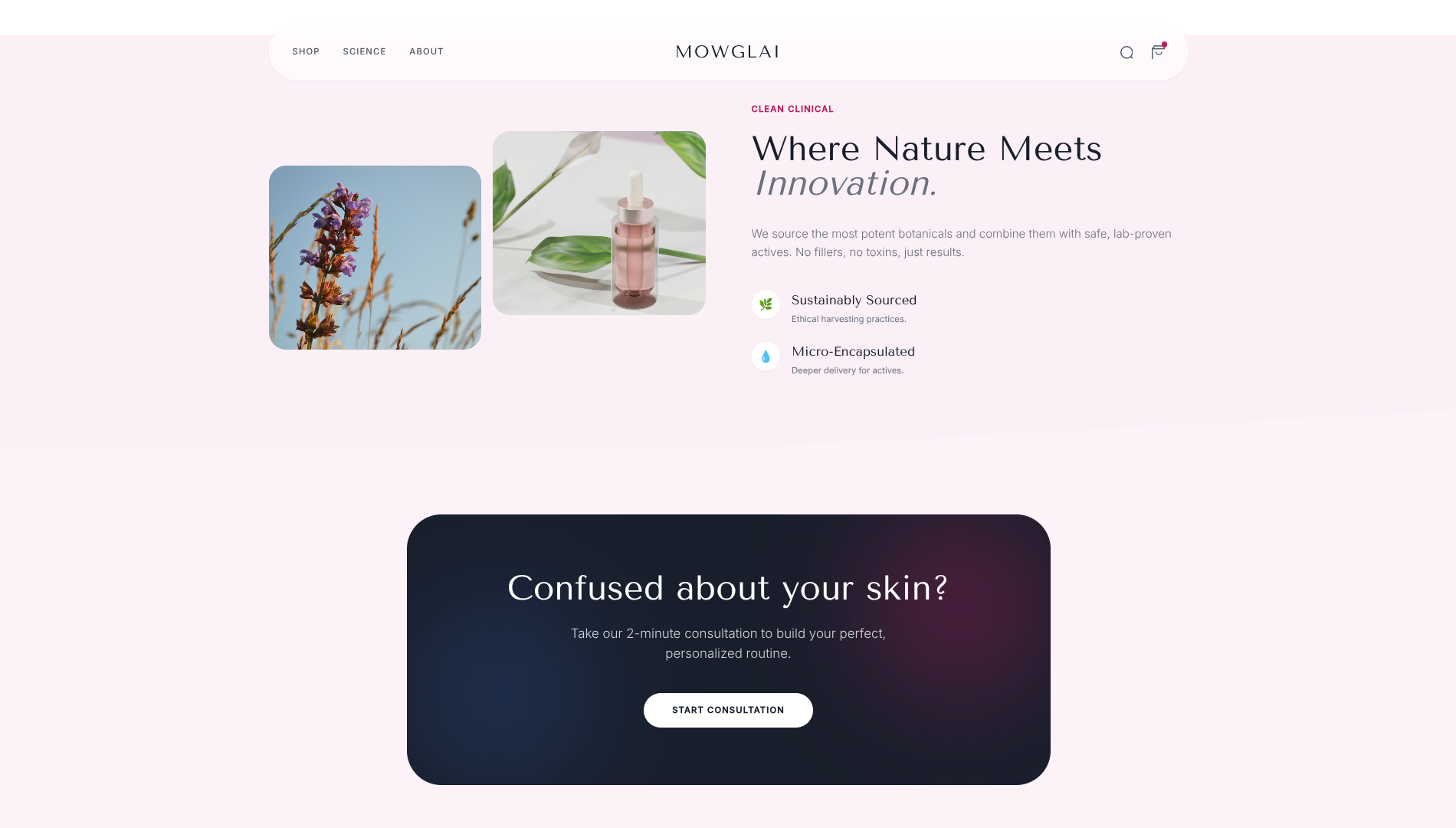 Beauty Bliss - View 3